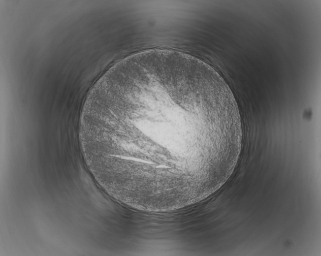 X0000115650643200912221332