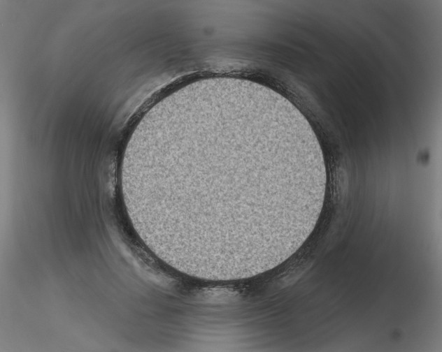 X0000115650644200912221332