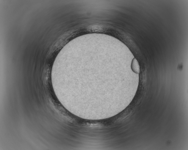 X0000115650645200912221332
