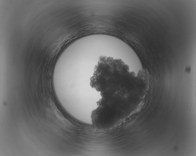 X0000115650646200912221332