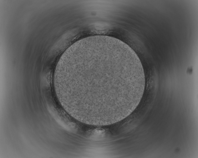 X0000115650647200912221332