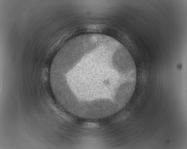 X0000115650649200912221332