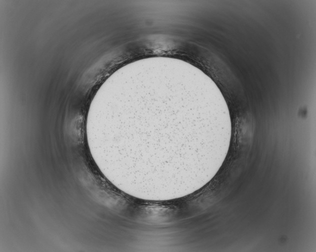 X0000115650650200912221332