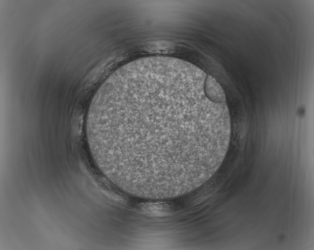 X0000115650652200912221332