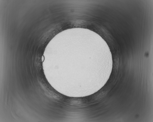 X0000115650653200912221332