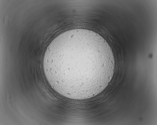 X0000115650655200912221332