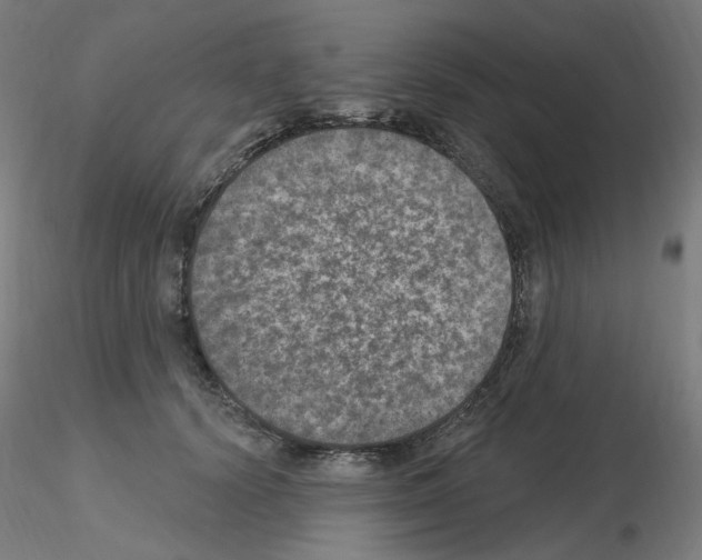X0000115650656200912221332