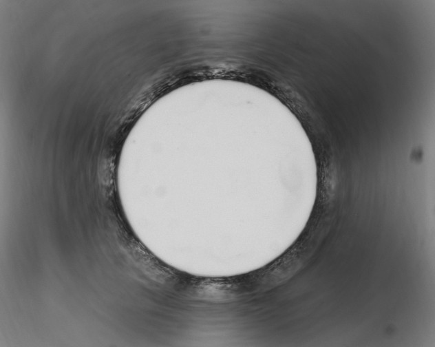 X0000115650657200912221332