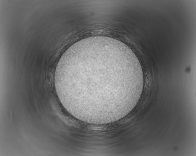 X0000115650659200912221332