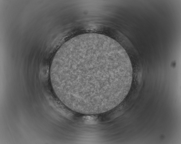 X0000115650660200912221332