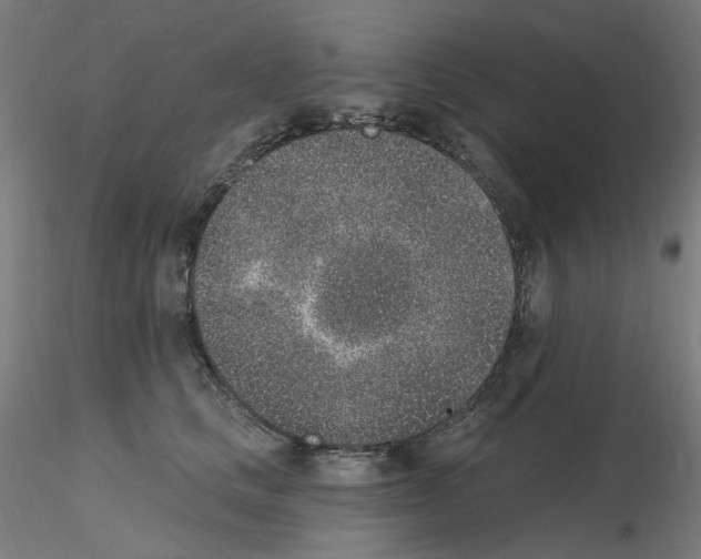 X0000115650661200912221332