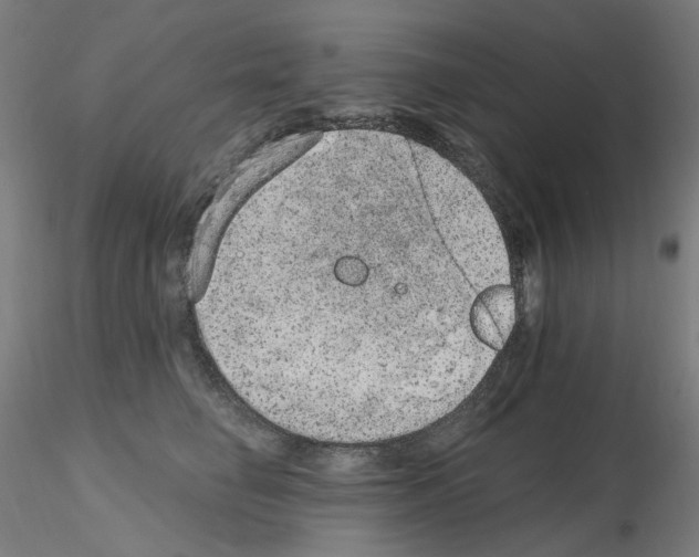 X0000115650662200912221332
