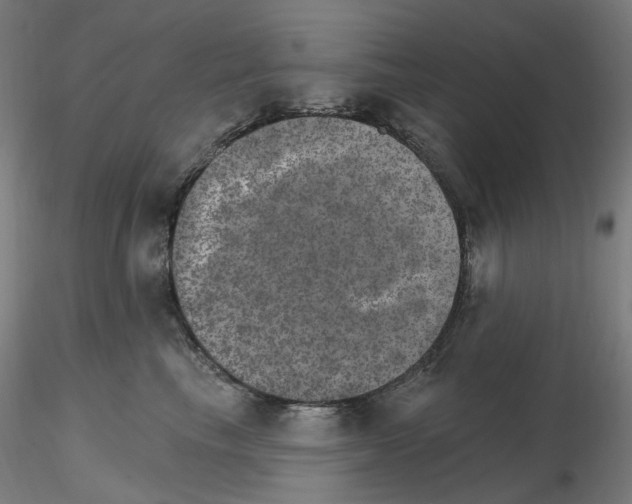 X0000115650665200912221332