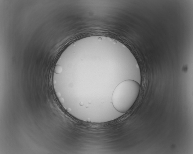 X0000115650666200912221332