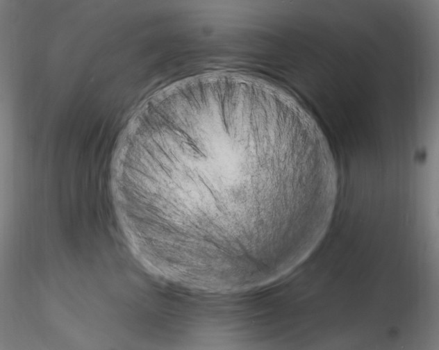 X0000115650667200912221332
