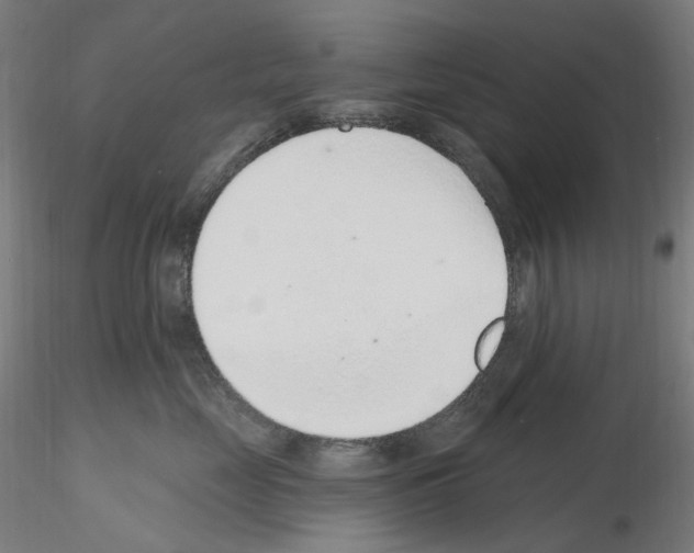 X0000115650669200912221332