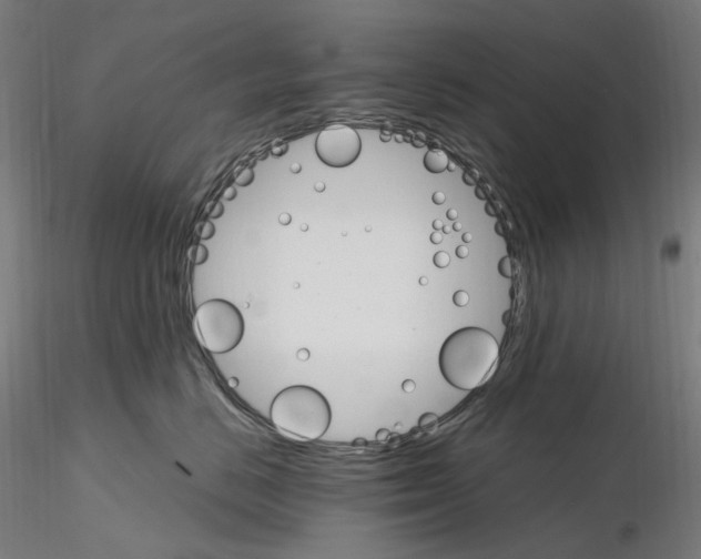 X0000115650670200912221332