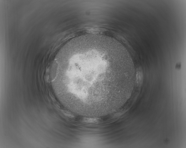 X0000115650671200912221332