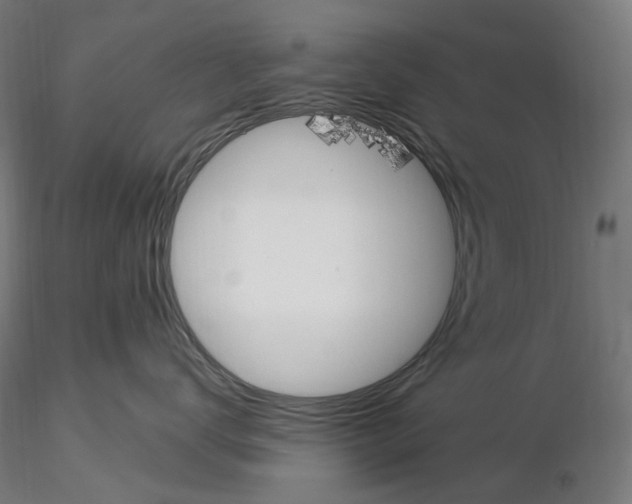 X0000115650672200912221332