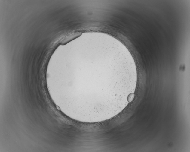 X0000115650673200912221331