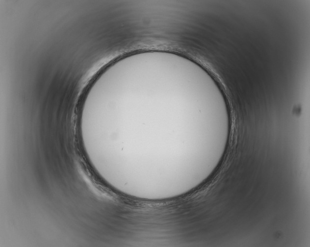 X0000115650674200912221331
