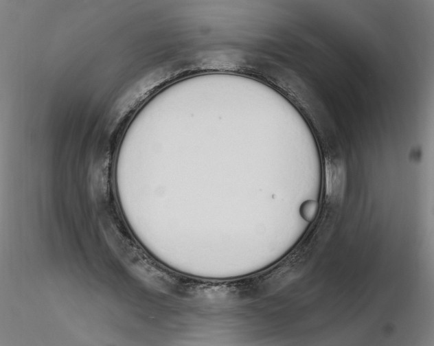 X0000115650675200912221331
