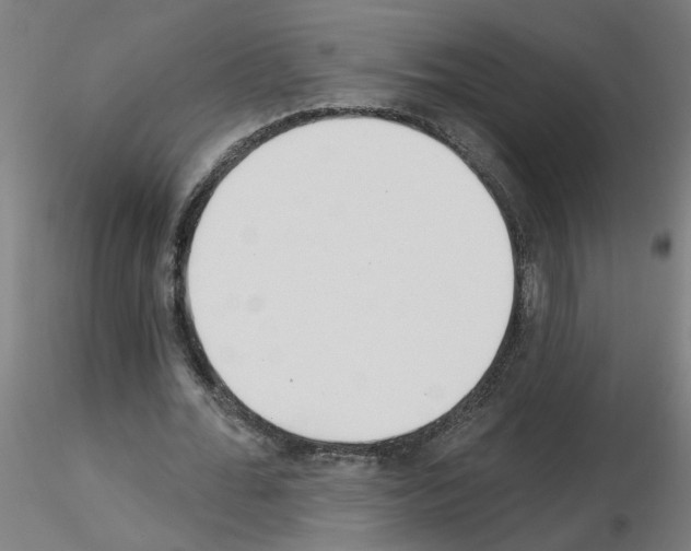 X0000115650676200912221331