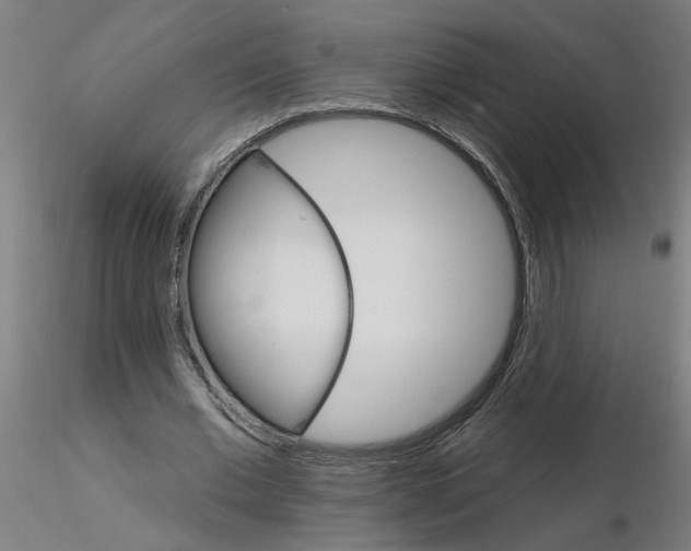 X0000115650677200912221331