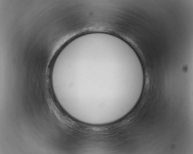 X0000115650678200912221331