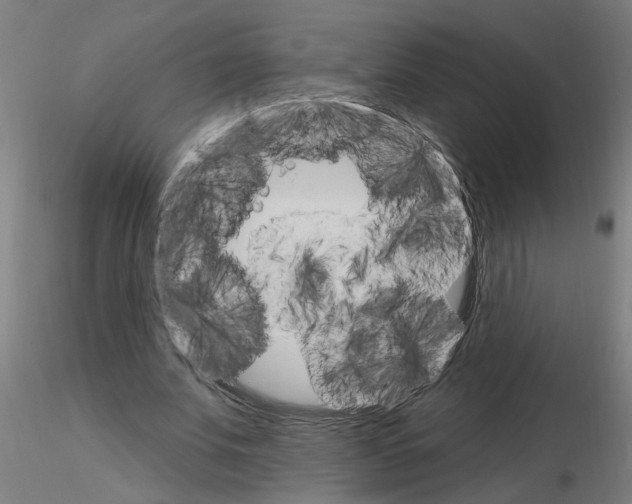 X0000115650679200912221331