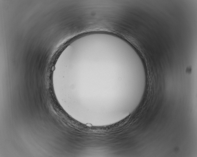 X0000115650680200912221331