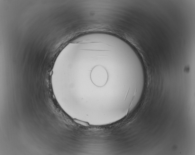 X0000115650681200912221331