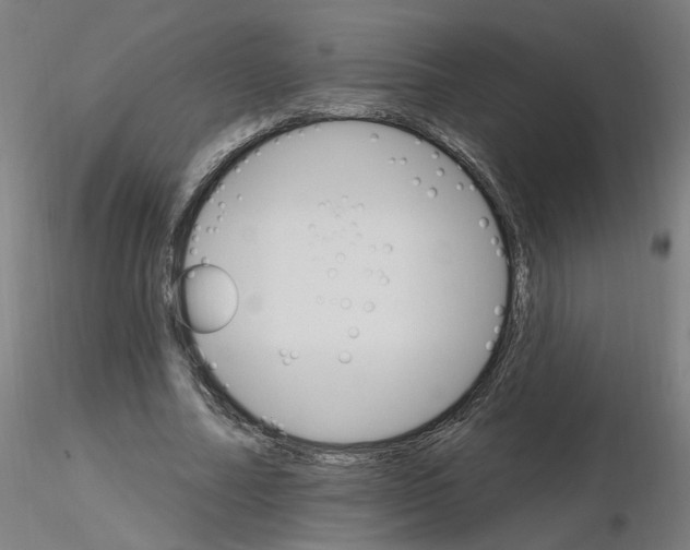 X0000115650682200912221331