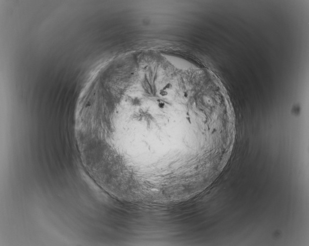 X0000115650683200912221331