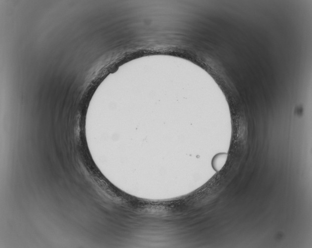 X0000115650685200912221331