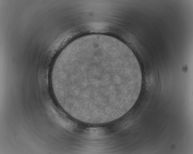 X0000115650686200912221331