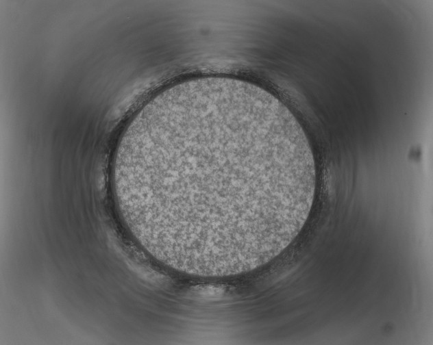 X0000115650687200912221331