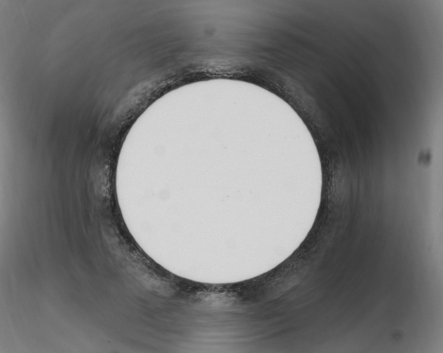 X0000115650689200912221331
