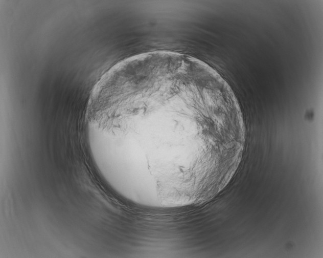 X0000115650691200912221331