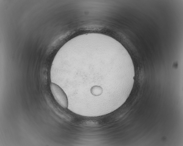 X0000115650692200912221331