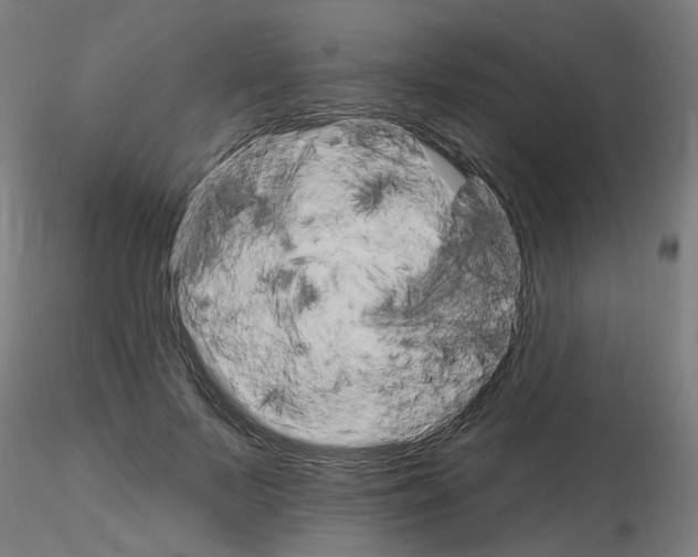 X0000115650695200912221331