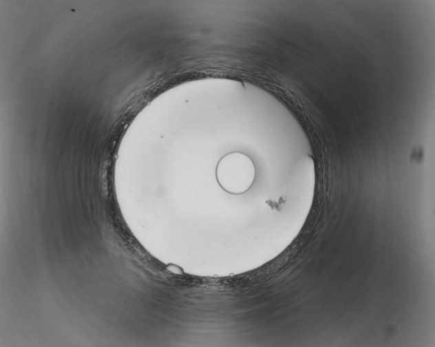 X0000115650696200912221331