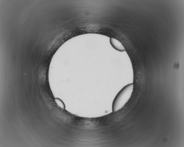 X0000115650697200912221331