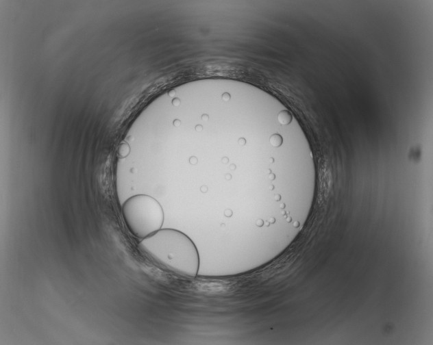 X0000115650698200912221331