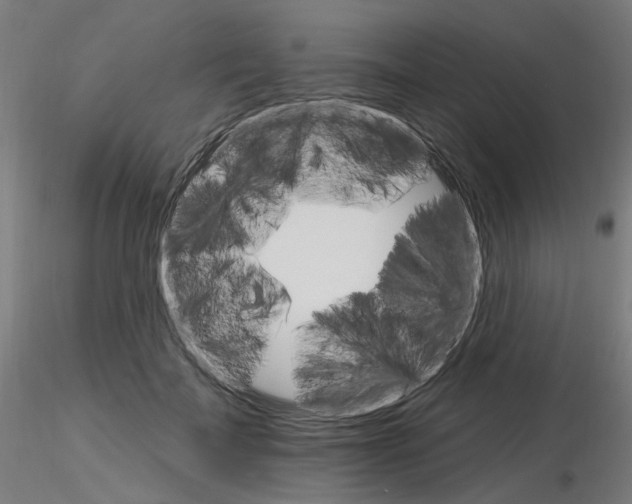 X0000115650699200912221331