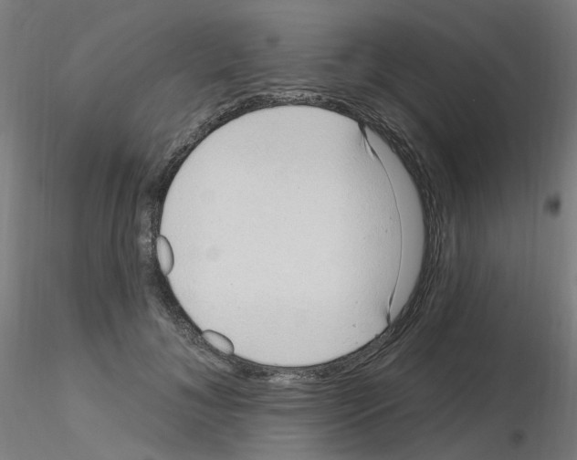 X0000115650700200912221331