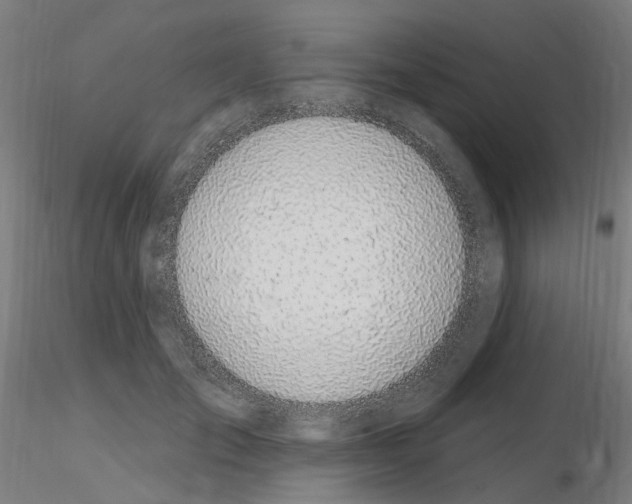 X0000115650701200912221331