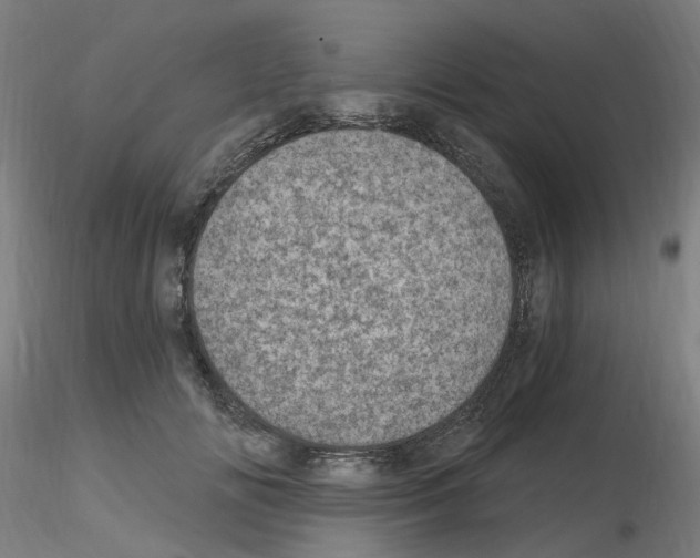 X0000115650702200912221331