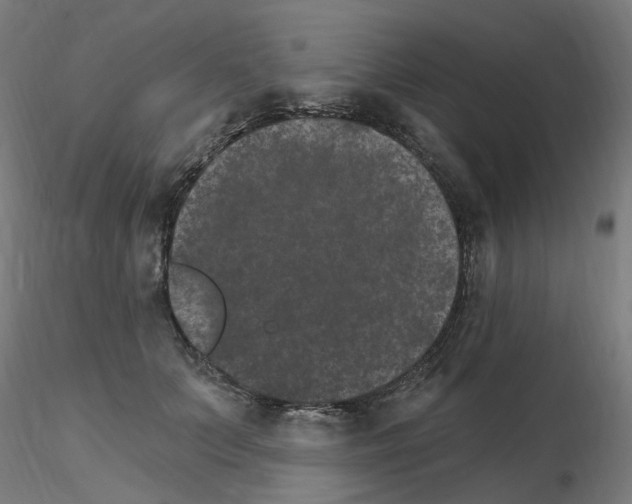 X0000115650703200912221331
