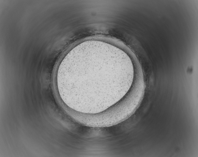 X0000115650704200912221331
